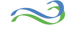 Energía Nueva